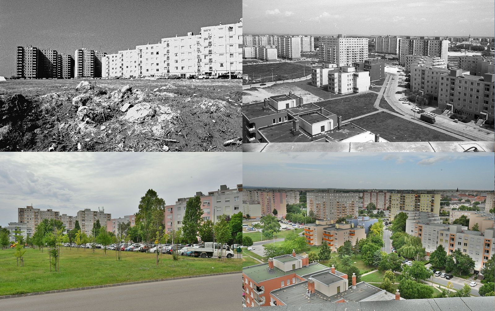 Fotókon a városi zöld környezet generációkon átívelő fontossága